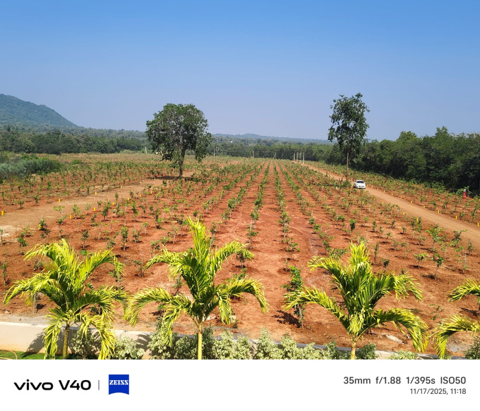  200 Sq. Yards Residential Plot for Sale in Tagarapuvalasa, Visakhapatnam