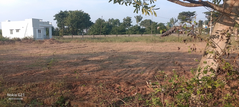  200 Sq. Yards Residential Plot for Sale in P. M. Palem, Visakhapatnam