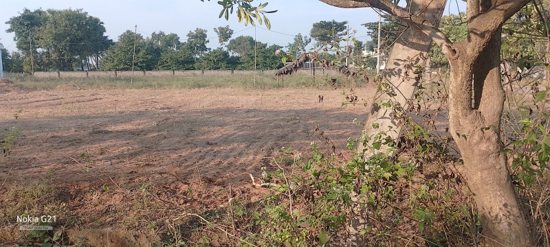  200 Sq. Yards Residential Plot for Sale in P. M. Palem, Visakhapatnam