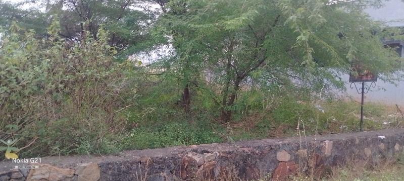  311 Sq. Yards Residential Plot for Sale in Madhurawada, Visakhapatnam