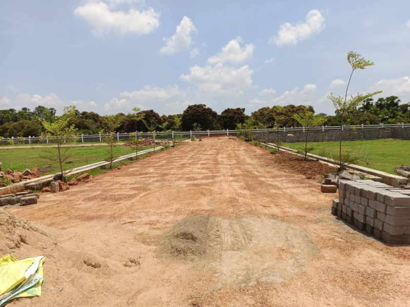  200 Sq. Yards Residential Plot for Sale in Chelluru, Vizianagaram