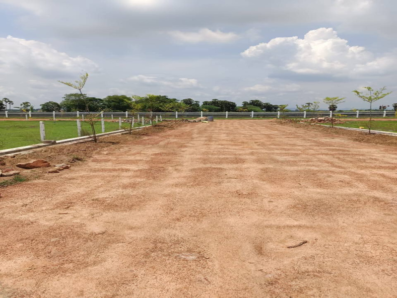  200 Sq. Yards Residential Plot for Sale in Chelluru, Vizianagaram