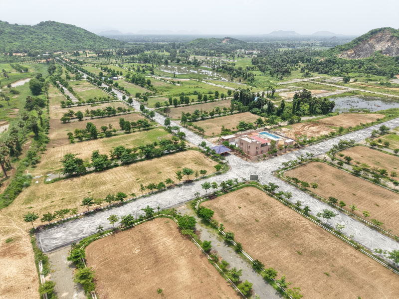  300 Sq. Yards Residential Plot for Sale in Korada, Vizianagaram