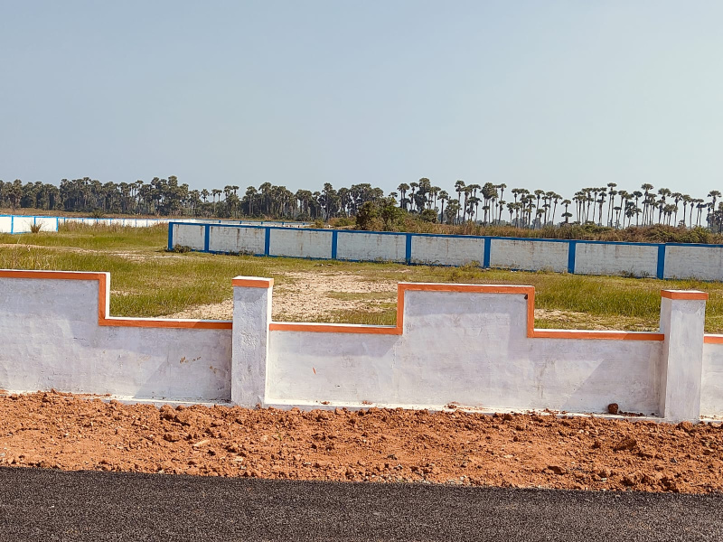  300 Sq. Yards Residential Plot for Sale in Korada, Vizianagaram