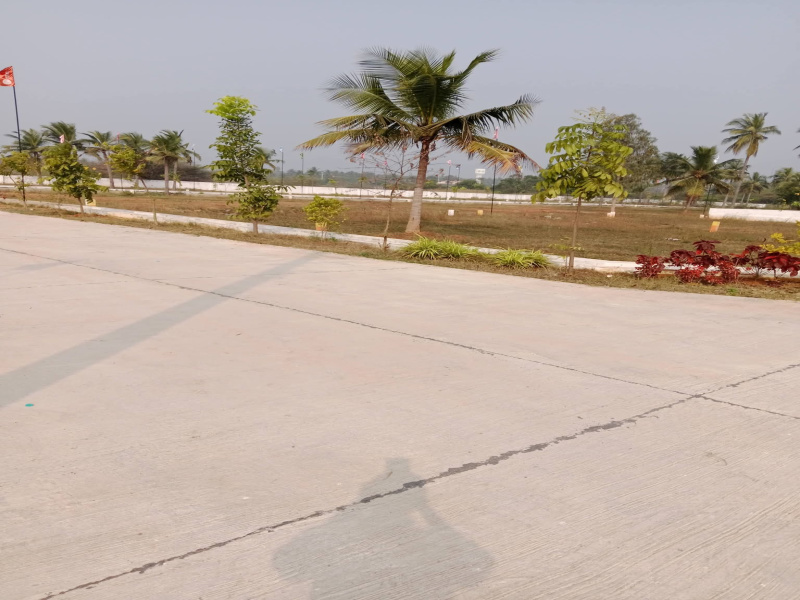  200 Sq. Yards Residential Plot for Sale in Tagarapuvalasa, Visakhapatnam