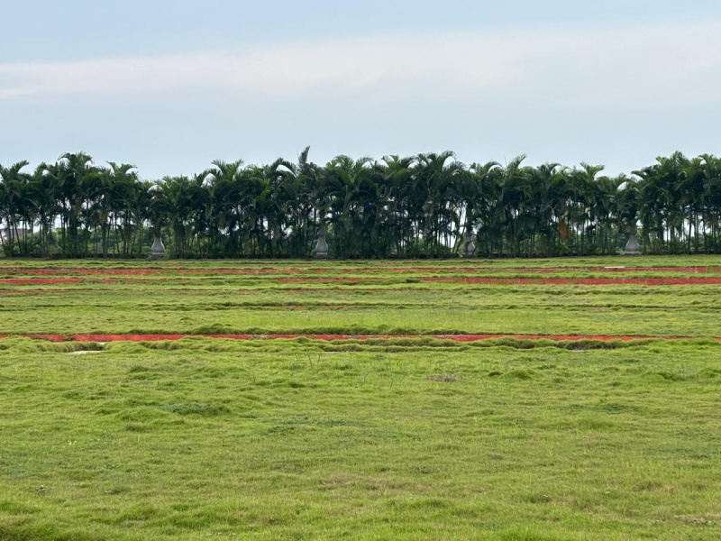  133 Sq. Yards Residential Plot for Sale in Simhachalam, Visakhapatnam