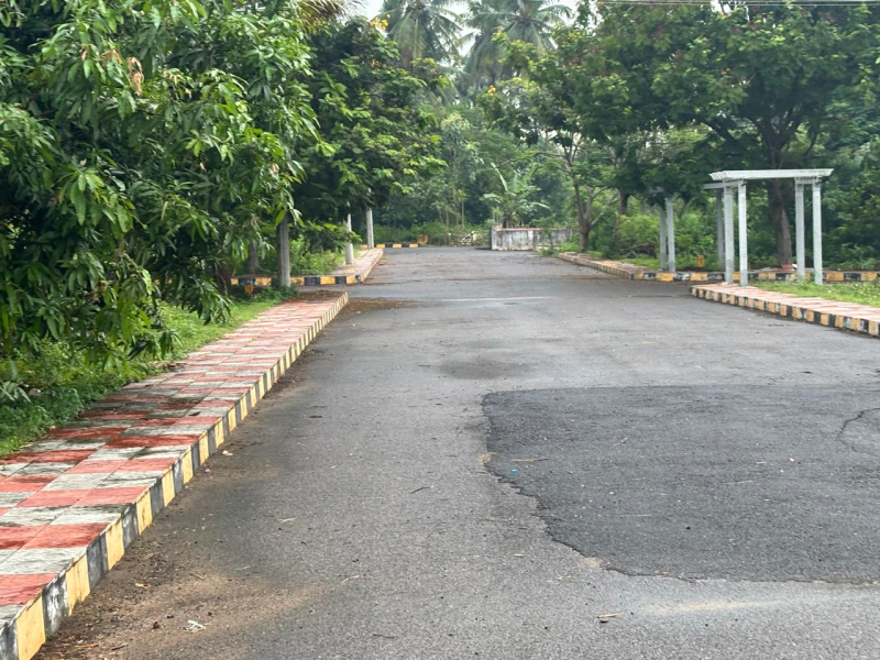  200 Sq. Yards Residential Plot for Sale in Tagarapuvalasa, Visakhapatnam