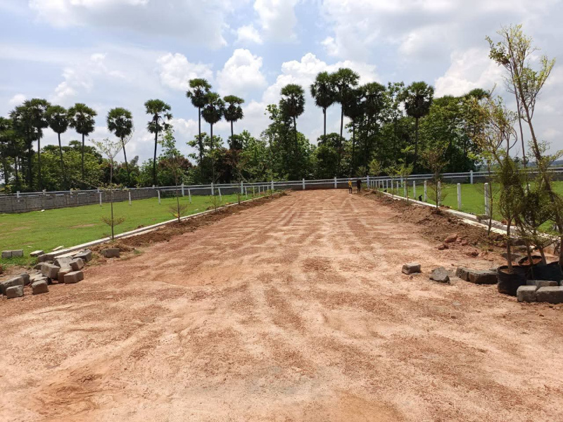  200 Sq. Yards Residential Plot for Sale in Tagarapuvalasa, Visakhapatnam