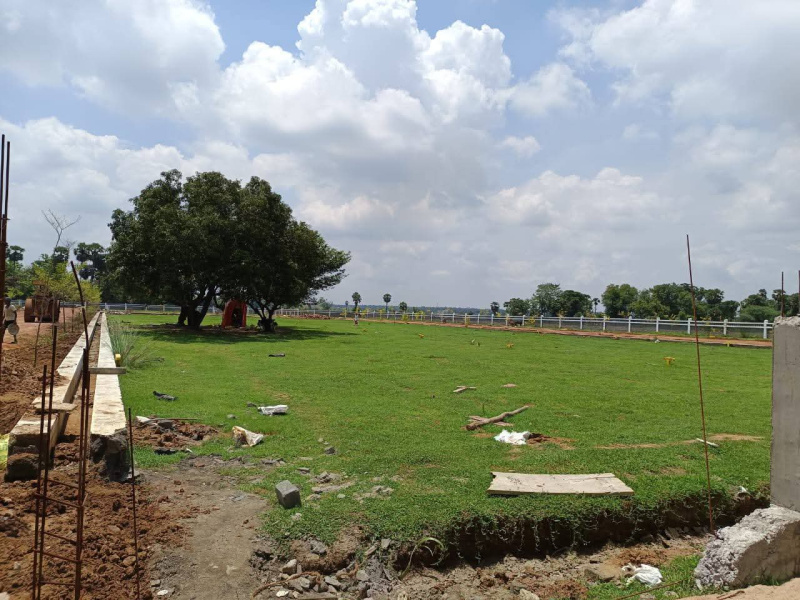  200 Sq. Yards Residential Plot for Sale in Tagarapuvalasa, Visakhapatnam