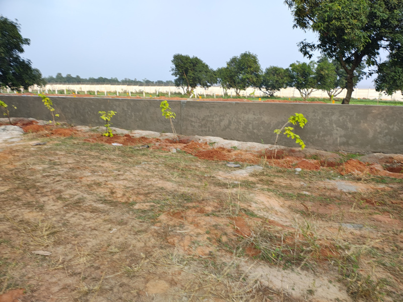  200 Sq. Yards Residential Plot for Sale in Padmanabham, Visakhapatnam