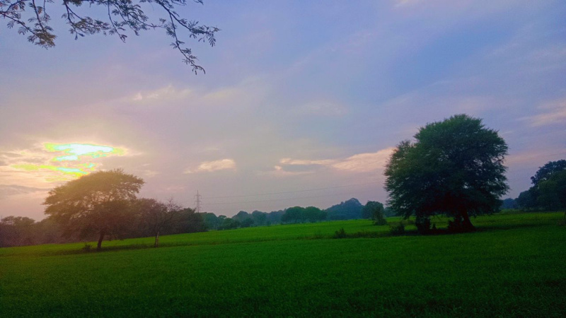  -2 Acre Agricultural/Farm Land for Sale in Sagar Cantt.