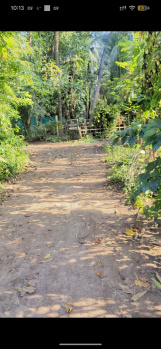 Agricultural Land for Sale in Kelwa, Palghar