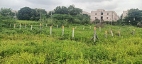  Residential Plot for Sale in Rotary Nagar, Khammam