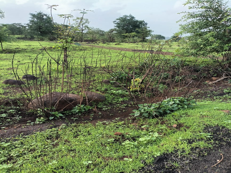  100 Acre Residential Plot for Sale in Khalapur, Navi Mumbai
