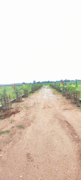  1200 Sq.ft. Residential Plot for Sale in Pithoria Road, Ranchi