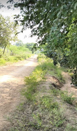  4 Acre Residential Plot for Sale in Bhongir, Yadadri Bhuvanagiri