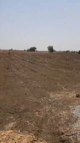  2 Acre Agricultural/Farm Land for Sale in Kodangal, Vikarabad