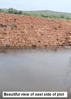  Agricultural Land for Sale in Ganpatipule, Ratnagiri