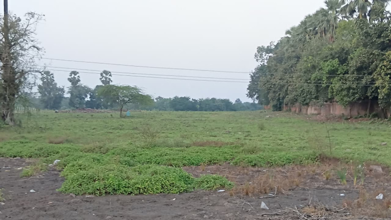  6 Bigha Industrial Land for Sale in Savli Town, Vadodara