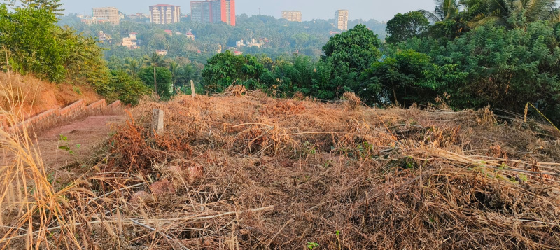  21 Cent Residential Plot for Sale in Shakti Nagar, Mangalore