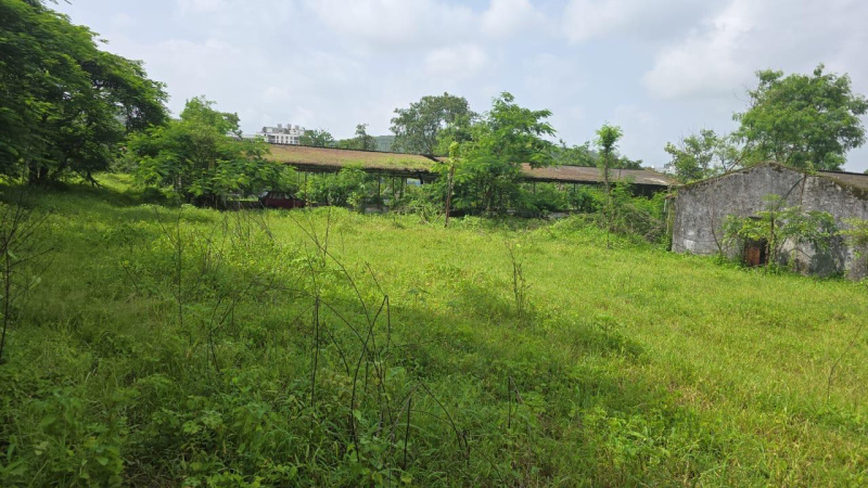  4 Acre Residential Plot for Sale in Somatane Phata, Pune