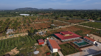  Agricultural Land for Sale in Chintamani, ChikBallapur