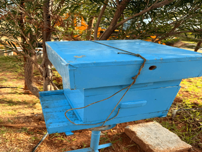  5500 Sq.ft. Agricultural/Farm Land for Sale in Gowribidanur, ChikBallapur