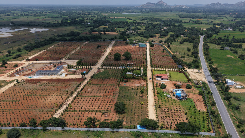  5500 Sq.ft. Agricultural/Farm Land for Sale in Gowribidanur, ChikBallapur