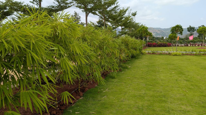  5500 Sq.ft. Agricultural/Farm Land for Sale in Gudibanda, ChikBallapur