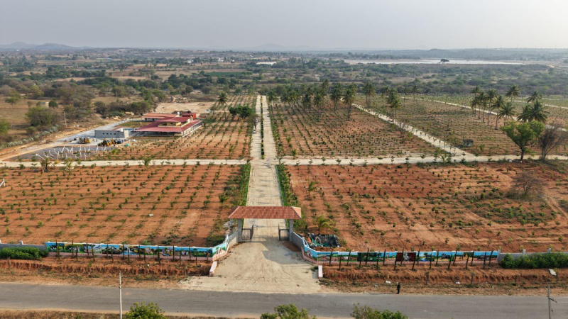  5500 Sq.ft. Agricultural/Farm Land for Sale in Nandi Hills, Bangalore