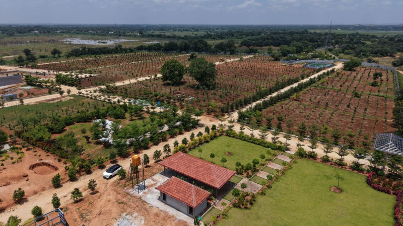  6000 Sq.ft. Agricultural/Farm Land for Sale in Sidlaghatta, Chikkaballapur, Bangalore