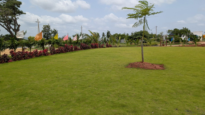  6000 Sq.ft. Agricultural/Farm Land for Sale in Gudibanda, ChikBallapur