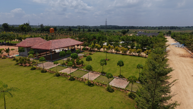  6000 Sq.ft. Agricultural/Farm Land for Sale in Skandagiri Bangalore