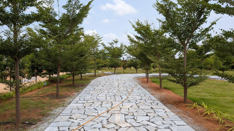  6000 Sq.ft. Agricultural/Farm Land for Sale in Gudibanda, ChikBallapur