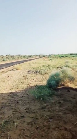 1 BHK 23 Bigha Farm House for Sale in Pugal, Bikaner