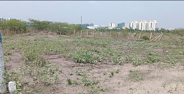  3260 Sq.ft. Residential Plot for Sale in Saravanampatti, Coimbatore