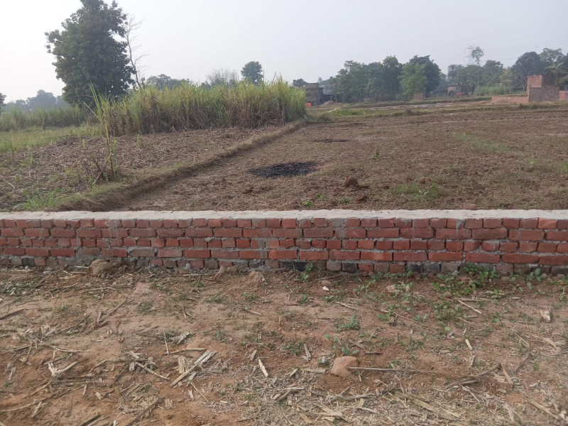  1000 Sq.ft. Residential Plot for Sale in Karjaha, Gorakhpur