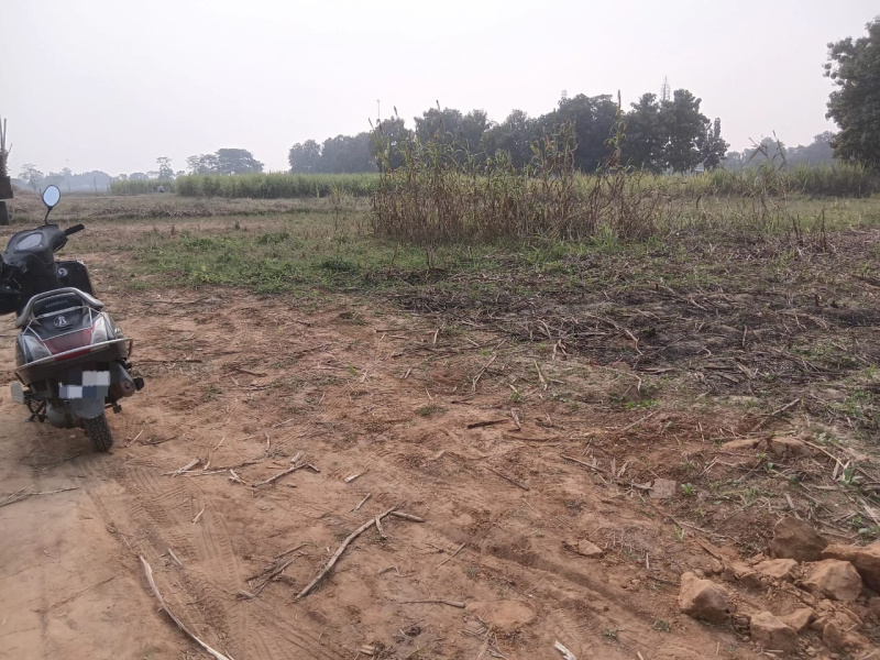  1000 Sq.ft. Residential Plot for Sale in Karjaha, Gorakhpur