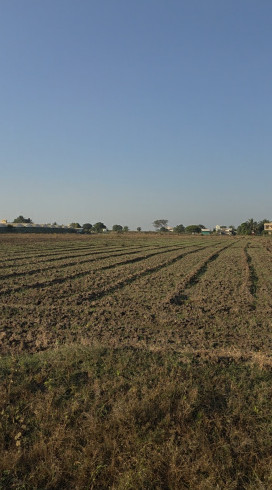  19 Acre Residential Plot for Sale in Shinde, Nashik