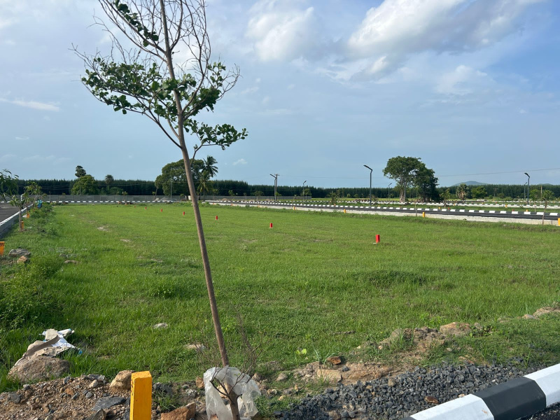  800 Sq.ft. Residential Plot for Sale in Pulipakkam, Chengalpattu