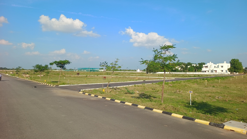  1000 Sq.ft. Residential Plot for Sale in Kanchipuram, 