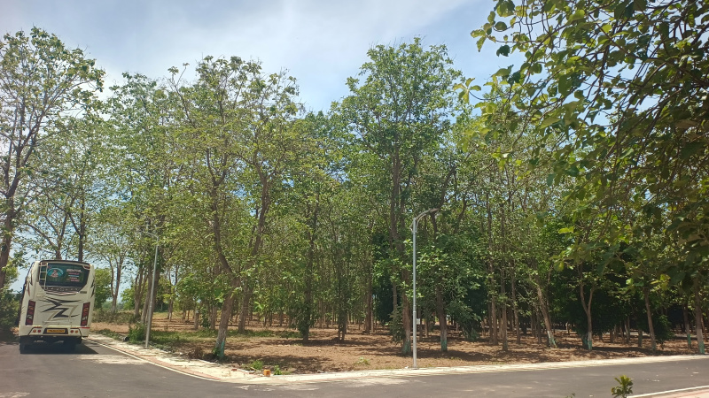  10000 Sq.ft. Residential Plot for Sale in Mahindra City, Chennai