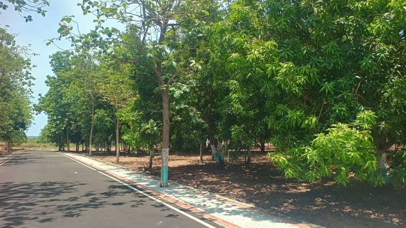  10000 Sq.ft. Residential Plot for Sale in Mahindra City, Chennai