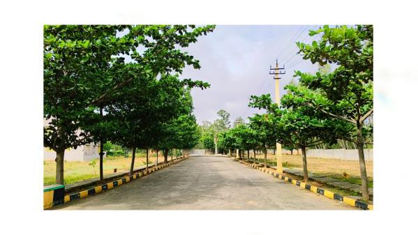  2000 Sq.ft. Residential Plot for Sale in Soukya Road, Bangalore