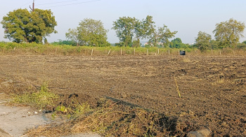  Agricultural Land for Sale in Wadi Bk, Nanded