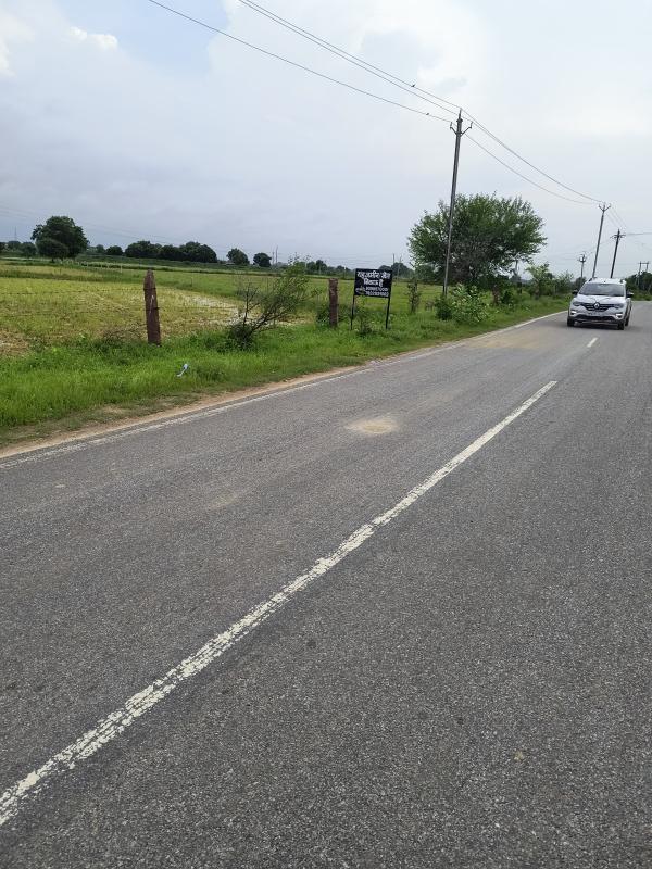  7 Bigha Agricultural/Farm Land for Sale in Chinor, Gwalior