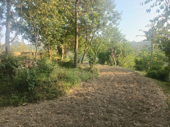 Residential Plot for Sale in Kunihar, Solan