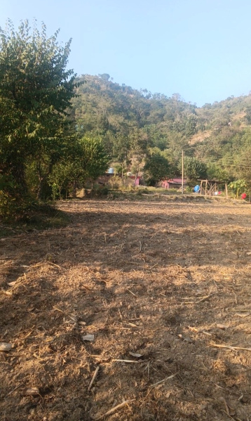  9 Bigha Residential Plot for Sale in Kunihar, Solan
