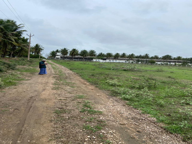  78408 Sq.ft. Agricultural/Farm Land for Sale in Sulur, Coimbatore