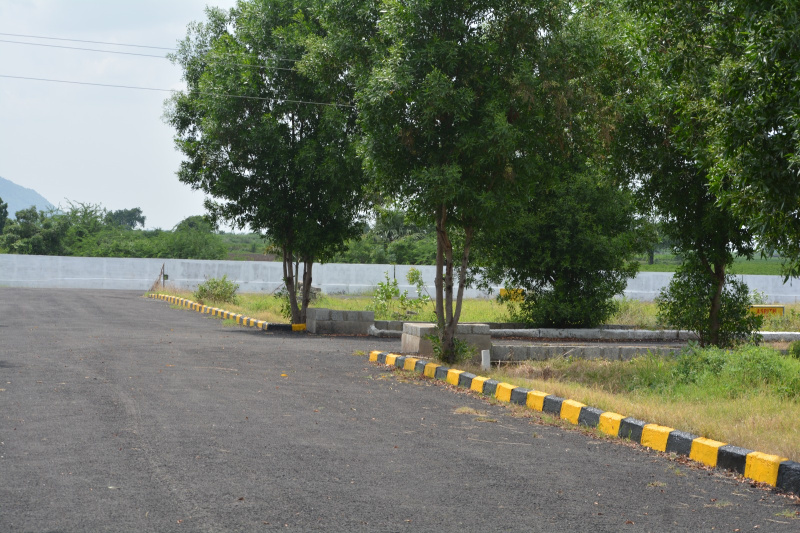  200 Sq. Yards Residential Plot for Sale in Narasaraopet, Guntur